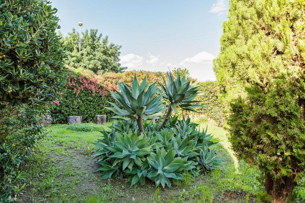 Villa Ginevra Fontane Bianche Esterno foto